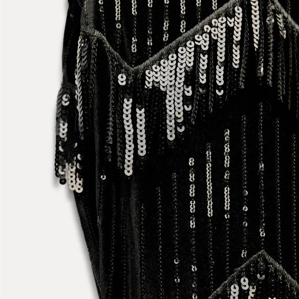 NWT ZARA  FRINGED Sequin Dress size XS AND S
🚨FIRM PRICE NO DISCOUNT - Picture 11 of 15